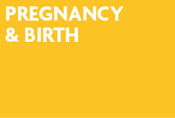 Pregnancy &amp; Birth