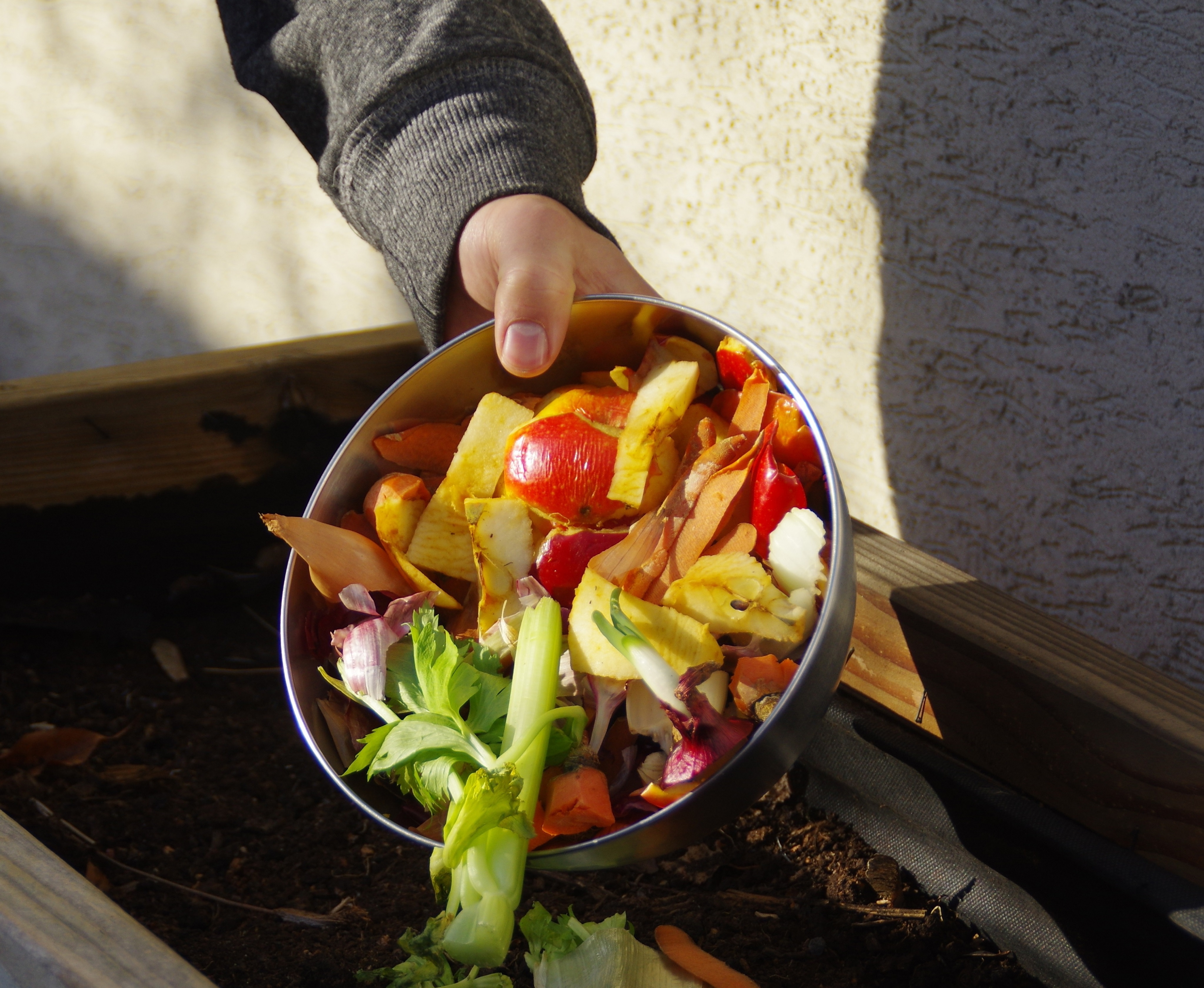 Food waste