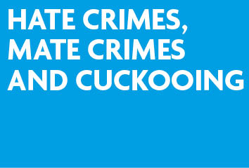 Hate crimes, mate crimes, and cuckooing