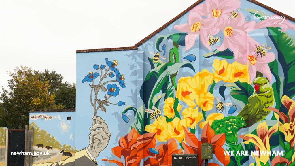 Dr fothergill s collection