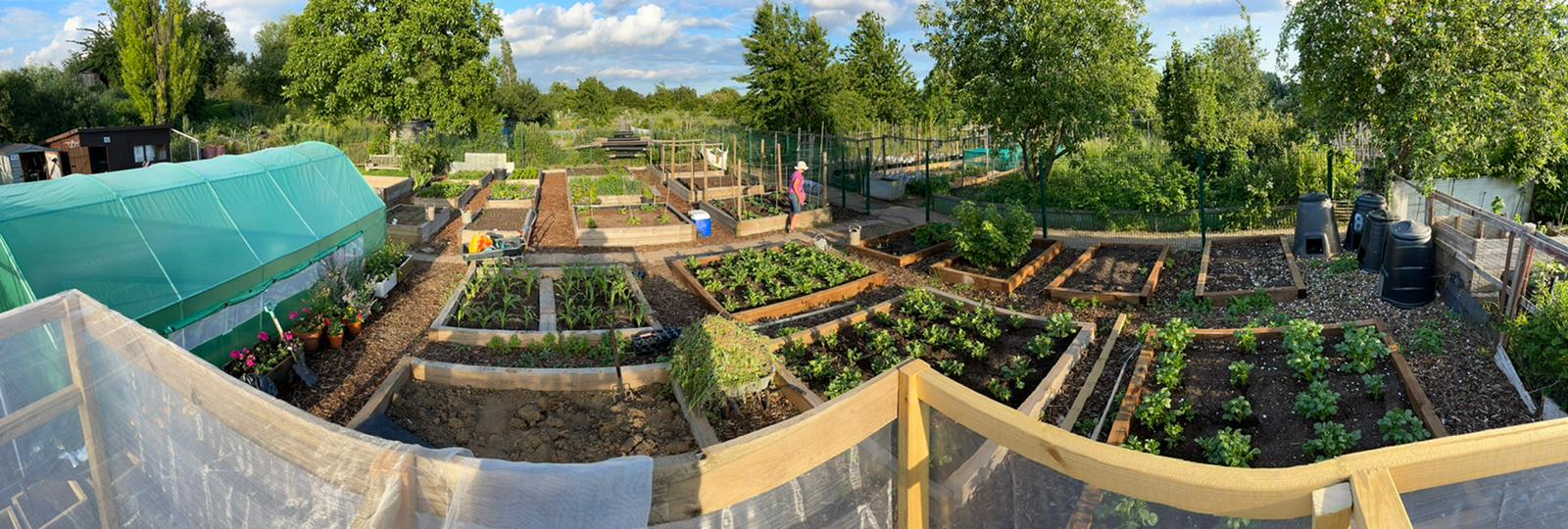 Folkestone road allotment accessible garden