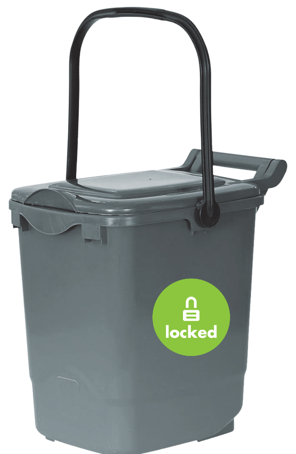 Locked kitchen caddy