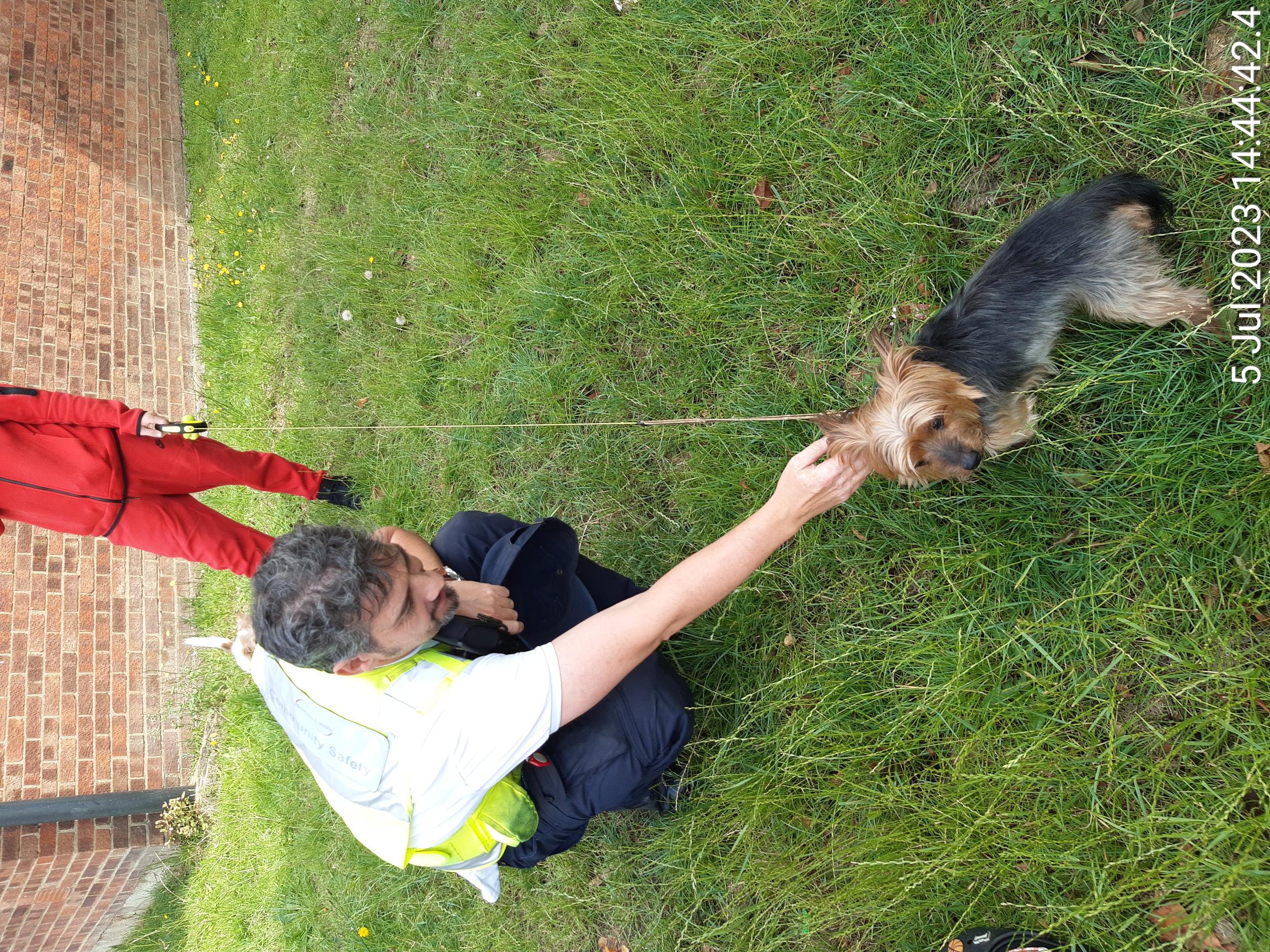 Lost dog returned 1