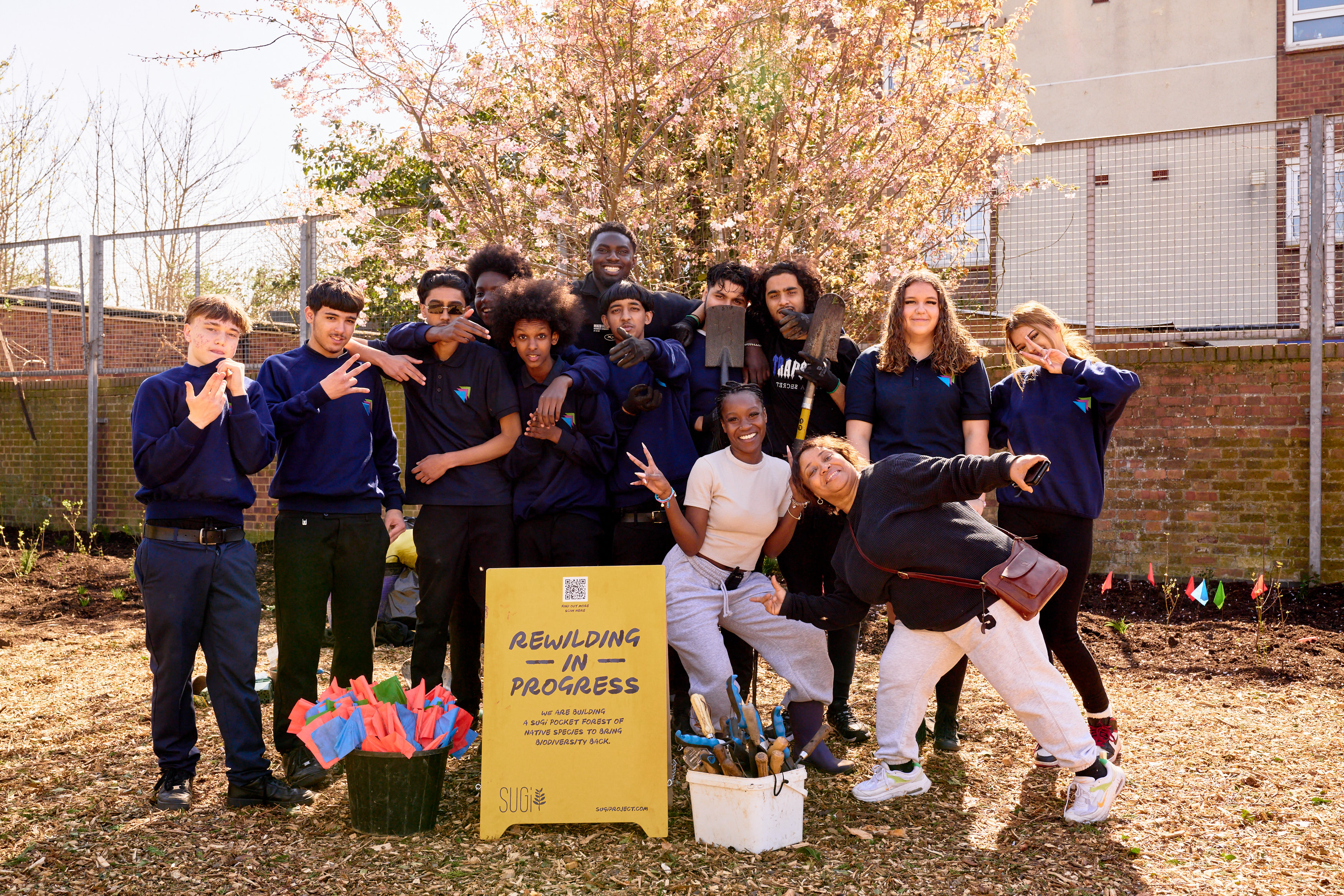 SUGi Pocket Forests at New Directions