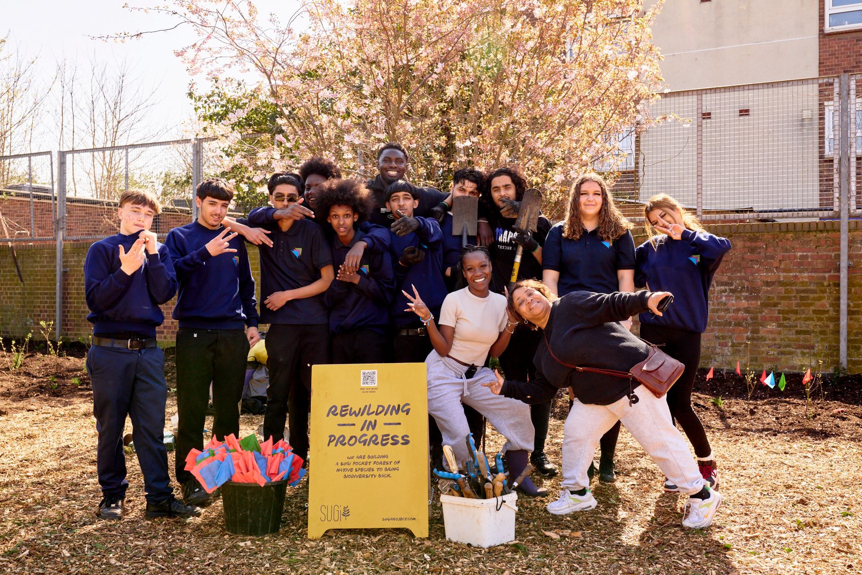 Sugi pocket forests at new directions