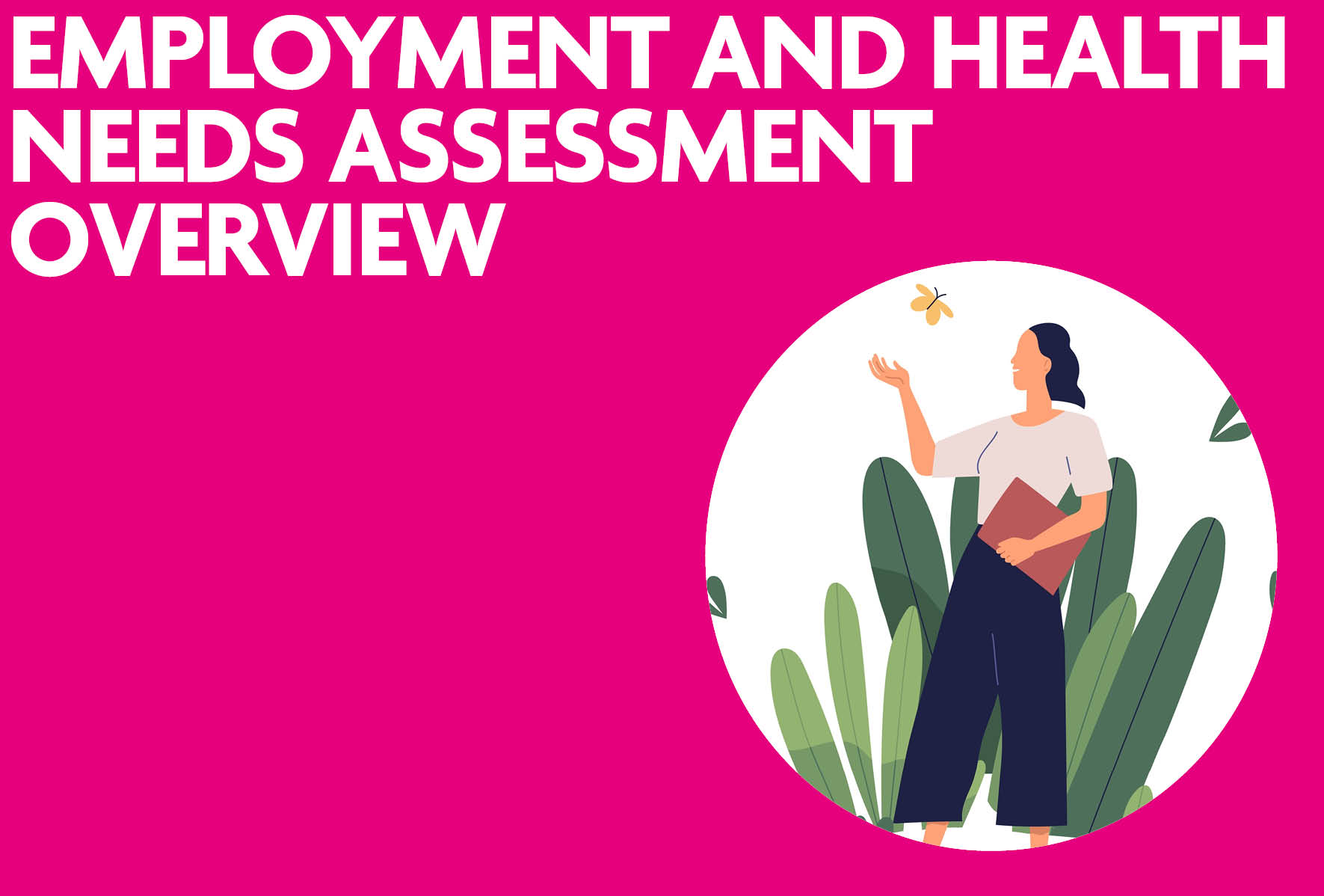 employment and health needs assessment overview