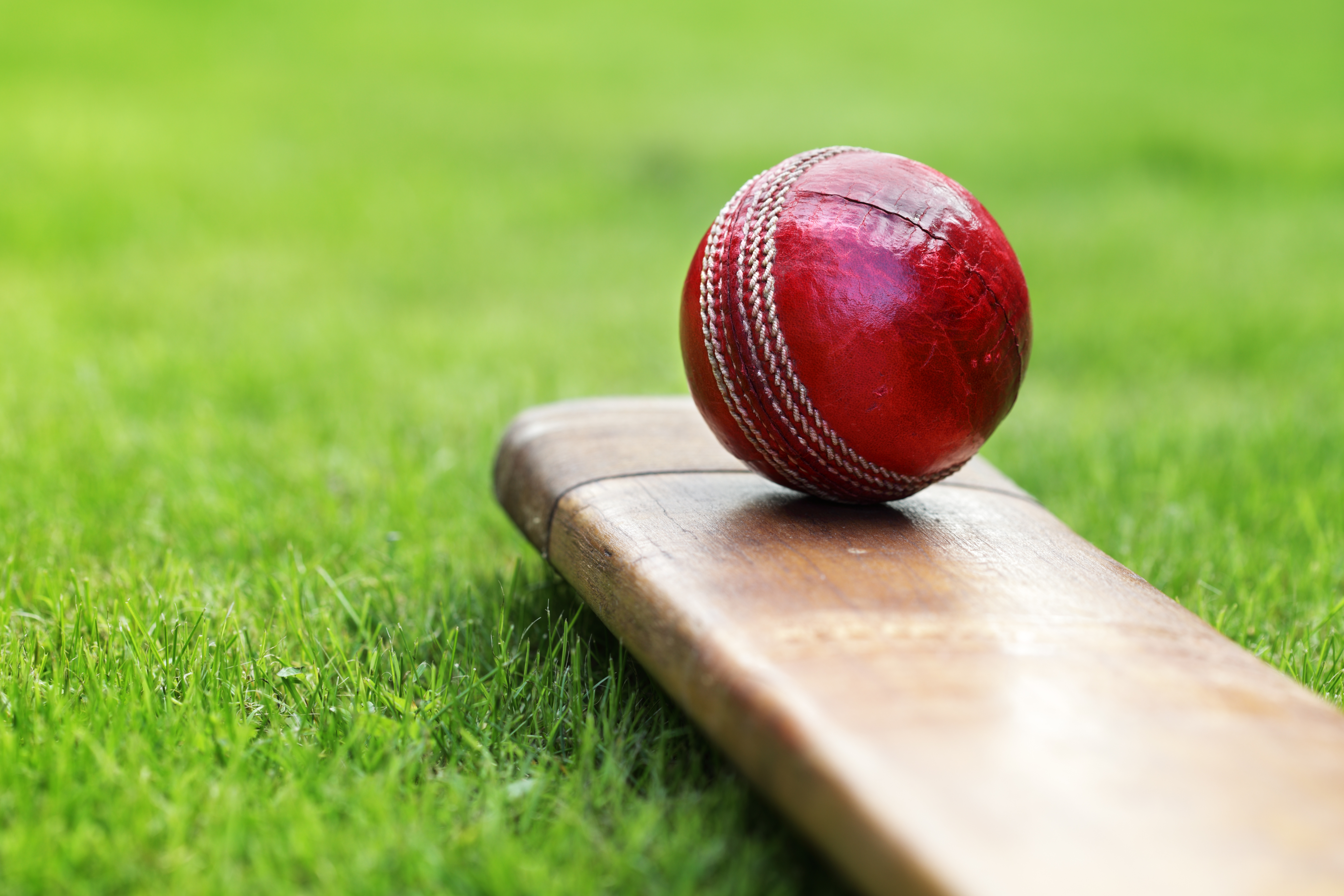 image of a cricket and ball